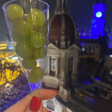 Ayuntamiento Panoramic Lejlighed